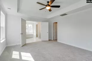 625 Falling Leaf Ln, Chapin, SC 29036 - Photo 14