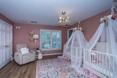 134 Bogater Road, Chapin, SC 29036 - Photo 46