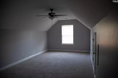 14 Lucerne Drive, Elgin, SC 29045 - Photo 20