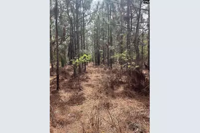 Bdf 3 Beaverdam Road #BDF 3, Cassatt, SC 29032 - Photo 1