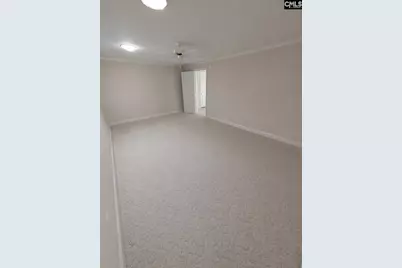 1121 Canterfield Road, Chapin, SC 29036 - Photo 28
