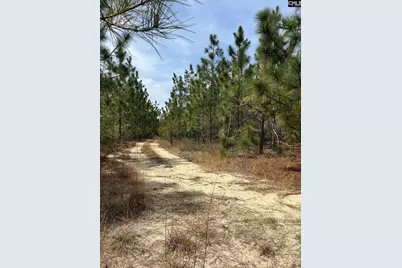 Bdf 9 Beaverdam Road #BDF 9, Cassatt, SC 29032 - Photo 1