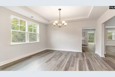 256 Livingston Woods Drive, Irmo, SC 29063 - Photo 6