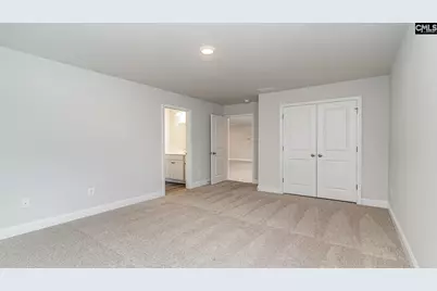 256 Livingston Woods Drive, Irmo, SC 29063 - Photo 20