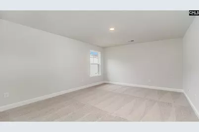 256 Livingston Woods Drive, Irmo, SC 29063 - Photo 20