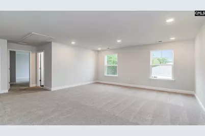 256 Livingston Woods Drive, Irmo, SC 29063 - Photo 18