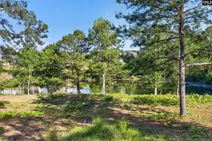 176 Southern Lk Ct, Camden, SC 29020 - Photo 42