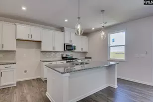 313 Brass Billion Path, Lexington, SC 29073 - Photo 12