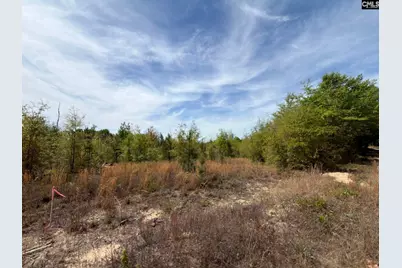 Rrf 7 Rogers Cemetery Road #RRF 7, Salley, SC 29137 - Photo 8