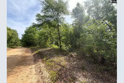 Rrf 7 Rogers Cemetery Road #RRF 7, Salley, SC 29137 - Photo 1