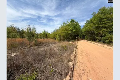 Rrf 7 Rogers Cemetery Road #RRF 7, Salley, SC 29137 - Photo 10
