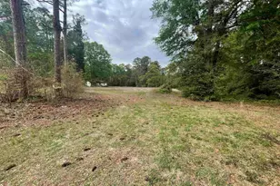 231 Ladybug Rd, Neeses, SC 29107 - Photo 1