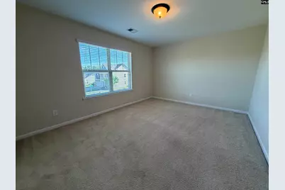 736 Kimsey Drive, Chapin, SC 29036 - Photo 26