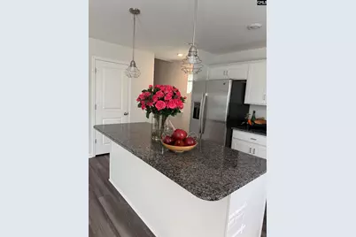 709 Pink Rose, Elgin, SC 29045 - Photo 8