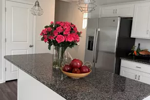 709 Pink Rose, Elgin, SC 29045 - Photo 8