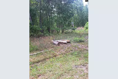 460 Grover Wilson Road, Ridgeway, SC 29130 - Photo 4