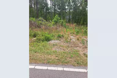 460 Grover Wilson Road, Ridgeway, SC 29130 - Photo 20
