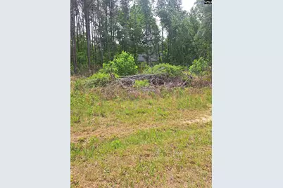 460 Grover Wilson Road, Ridgeway, SC 29130 - Photo 16