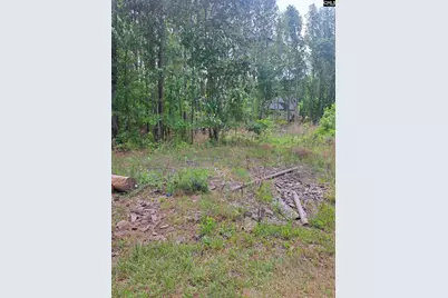 460 Grover Wilson Road, Ridgeway, SC 29130 - Photo 28