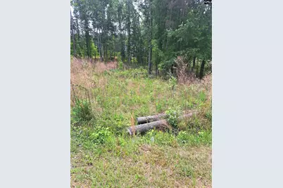 460 Grover Wilson Road, Ridgeway, SC 29130 - Photo 22