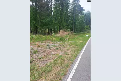 460 Grover Wilson Road, Ridgeway, SC 29130 - Photo 24