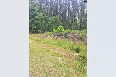 460 Grover Wilson Road, Ridgeway, SC 29130 - Photo 8