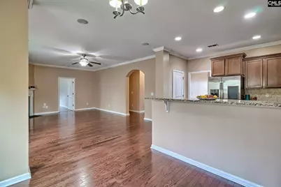 260 Eagle Pointe Drive, Chapin, SC 29036 - Photo 14