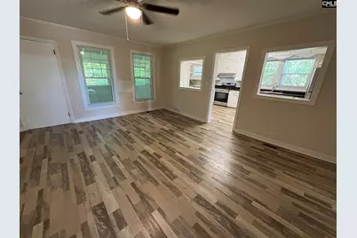 161 Columbia Avenue, Chapin, SC 29036 - Photo 12