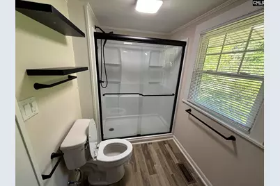 161 Columbia Avenue, Chapin, SC 29036 - Photo 18