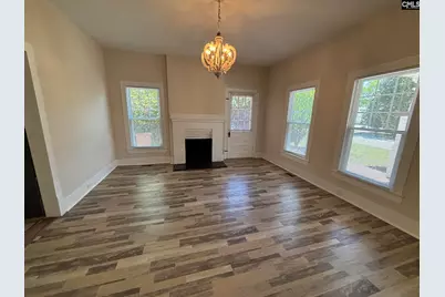 161 Columbia Avenue, Chapin, SC 29036 - Photo 4
