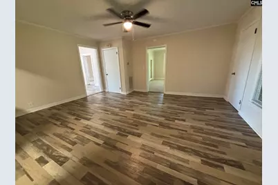 161 Columbia Avenue, Chapin, SC 29036 - Photo 10