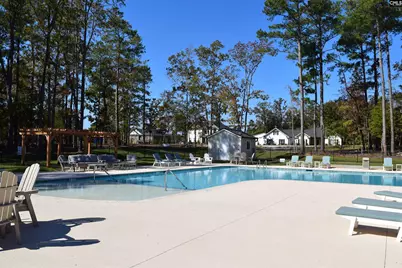 934 Salisbury Court #56, Chapin, SC 29036 - Photo 10