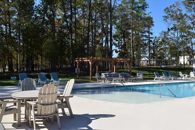 934 Salisbury Court #56, Chapin, SC 29036 - Photo 12