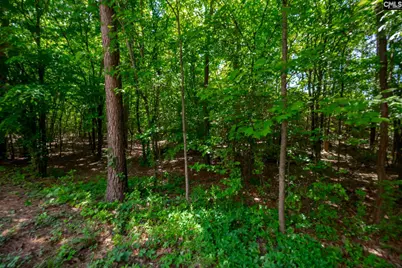 221 Allenbrooke Drive, Lexington, SC 29072 - Photo 48