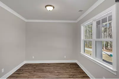 111 Greengarden Drive, Chapin, SC 29036 - Photo 6