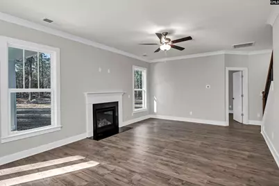 111 Greengarden Drive, Chapin, SC 29036 - Photo 12