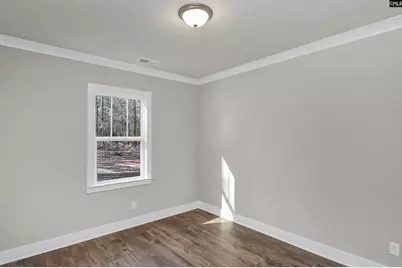 111 Greengarden Drive, Chapin, SC 29036 - Photo 24