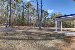 111 Greengarden Dr, Chapin, SC 29036 - Photo 54