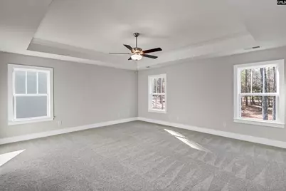111 Greengarden Drive, Chapin, SC 29036 - Photo 32
