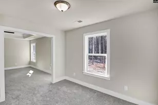 119 Greengarden Dr, Chapin, SC 29036 - Photo 30