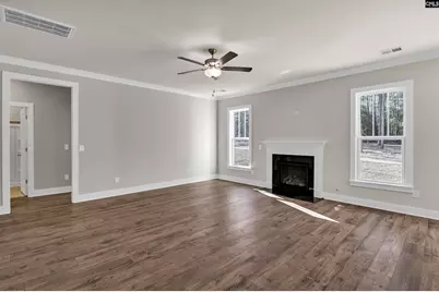 119 Greengarden Drive, Chapin, SC 29036 - Photo 4