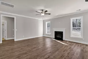 119 Greengarden Dr, Chapin, SC 29036 - Photo 4