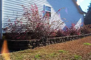 213 Greemount Circle, Columbia, SC 29209 - Photo 12