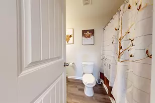 210 Honey Hill Way, Blythewood, SC 29016 - Photo 32