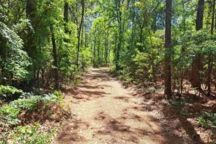 270 Migrant Camp Rd, Batesburg, SC 29006 - Photo 26