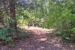 270 Migrant Camp Rd, Batesburg, SC 29006 - Photo 24