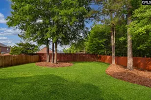 123 Jasmine Bay Ln, Chapin, SC 29036 - Photo 4