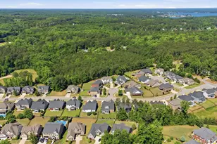 336 Lightning Bug Ln, Lexington, SC 29072 - Photo 54