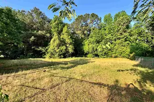 42 Sugar Hill Dr, Bishopville, SC 29010 - Photo 4