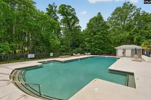 100 Shores Edge Dr, Chapin, SC 29036 - Photo 68